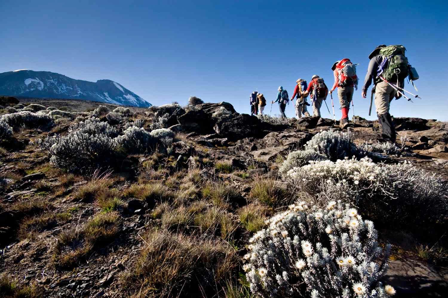 Climbers on the trail to Kilimanjaro's summit