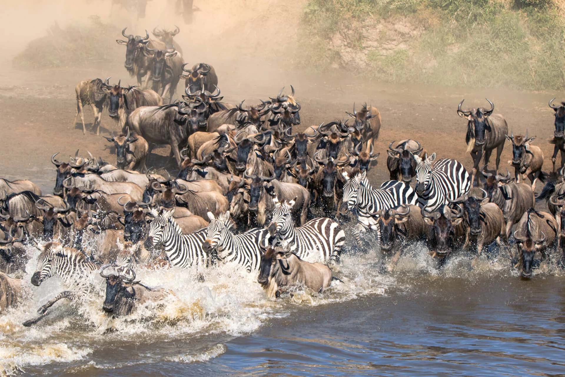 9-Day Great Migration Safari, photo 3